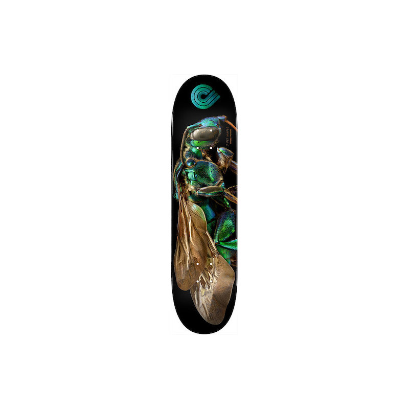 Skateboard POWELL PERALTA Biss Orchid Bee