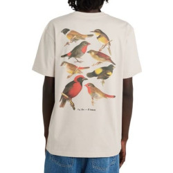 T-shirt ELEMENT Orni Oat Milk