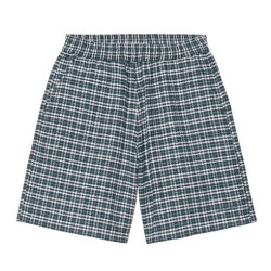 Short CARHARTT WIP Kander Check Blue River