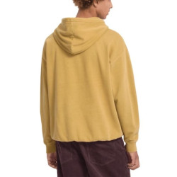 Sweat VOLCOM Earth Speak Mustard